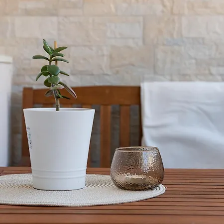 Apartamento Paloma